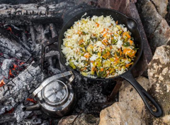 Petromax 30cm Cast Iron Fire Skillet with One handle