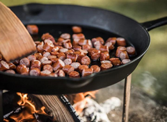Petromax 40cm Cast Iron Fire Skillet with One handle