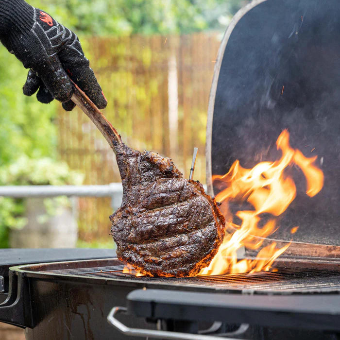 Traeger MEATER Pro