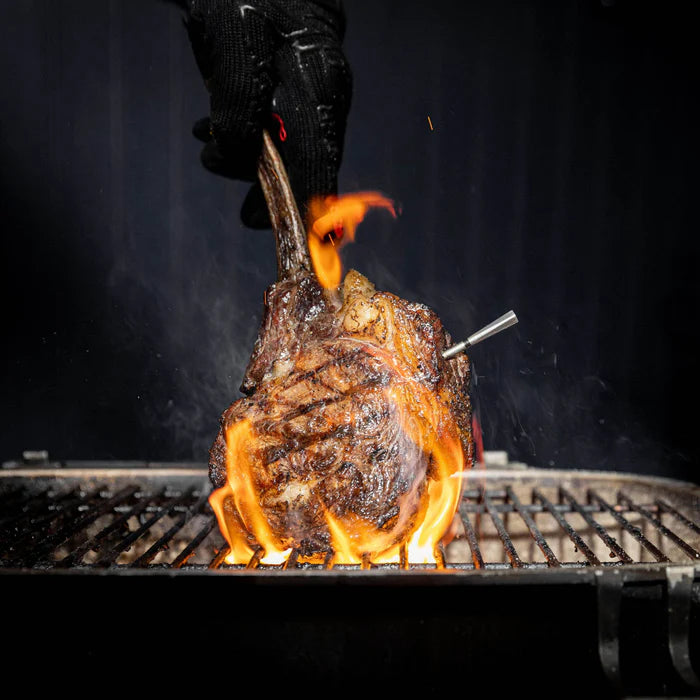 Traeger MEATER Pro