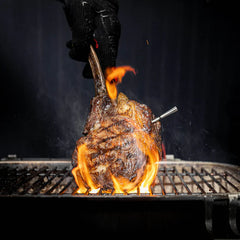 Traeger MEATER Pro