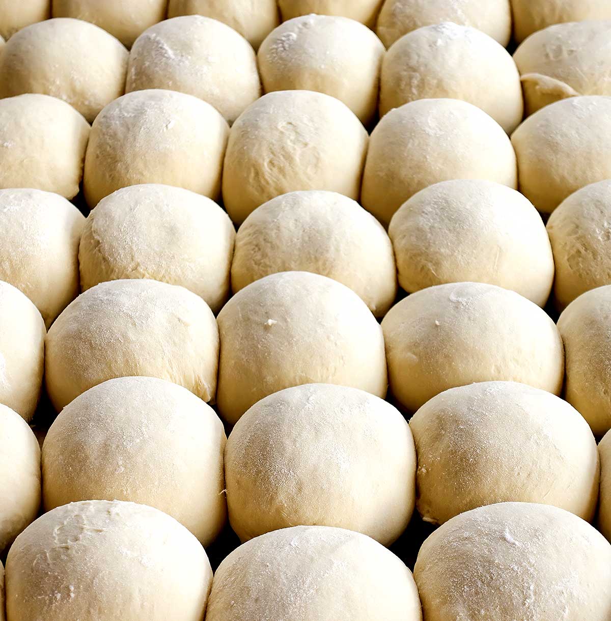 Neapolitan Dough - Caputo Classic Dough Ball (CLICK & COLLECT ONLY)