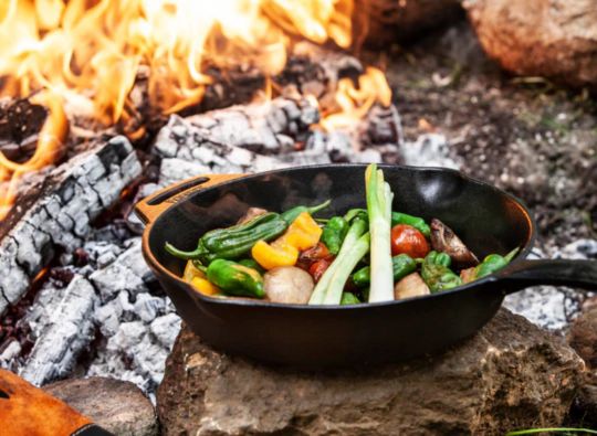 Petromax 25cm Cast Iron Fire Skillet With One Handle