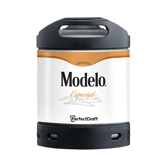 PerfectDraft Modelo Especial 6L Keg