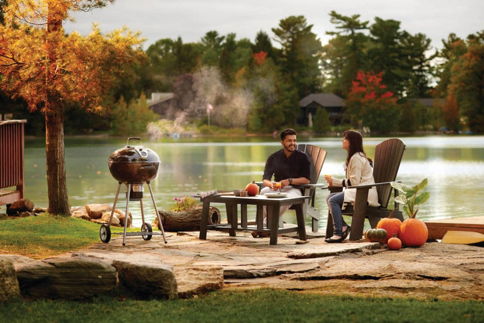 Napoleon Premium Kettle Charcoal 22