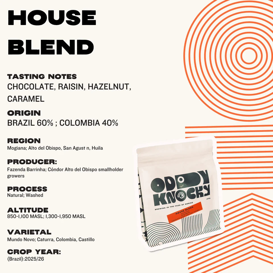 ODDY KNOCKY House Blend Whole Coffee Beans 250g