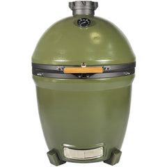 #colour_olive green
